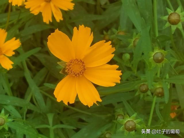 副业怎样选择，不影响工作还能有额外的收入-万图副业网
