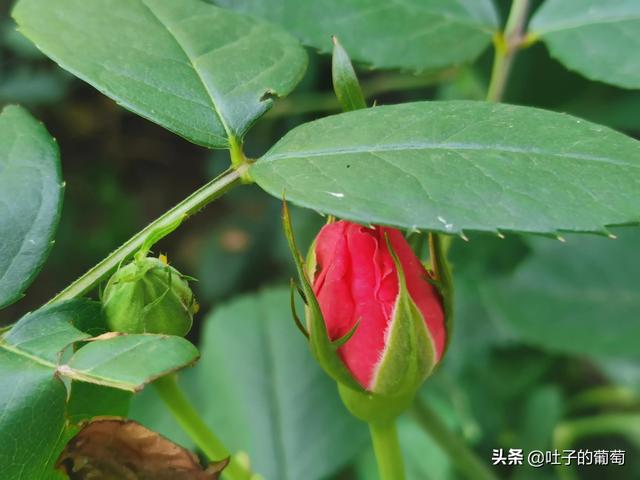 图片[3]-副业怎样选择，不影响工作还能有额外的收入-万图副业网