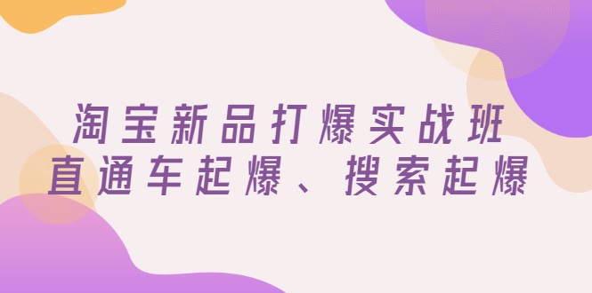 【副业项目3372期】淘宝新品打爆实战班（淘宝店铺如何增加流量和访客）-万图副业网