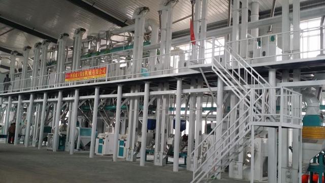 五十吨玉米深加工项目赚钱吗？小型玉米深加工项目有哪些？-万图副业网