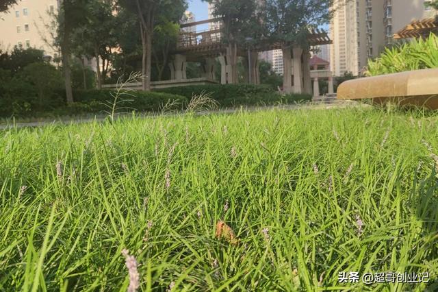 图片[3]-自媒体公司老板分享做自媒体的秘籍（做自媒体怎么月收入过万）-万图副业网