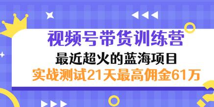 【副业项目3489期】视频号带货训练营，实战测试21天最高佣金61W（视频号带货怎么做）-万图副业网