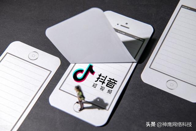 图片[2]-抖音用户画像是什么意思（抖音怎么构建立人群画像）-万图副业网