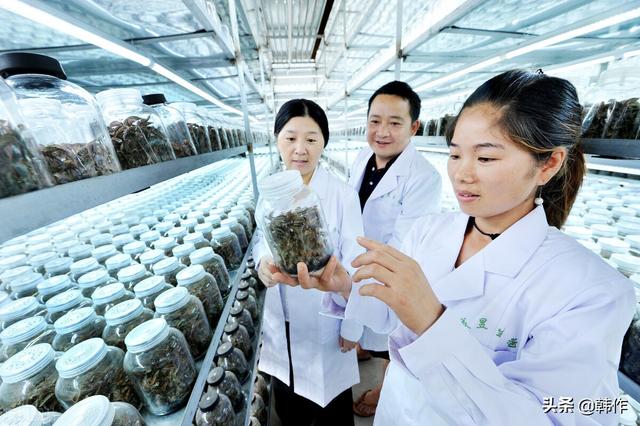 图片[6]-未来有发展潜力的17个行业（当今社会什么行业有前途）-万图副业网
