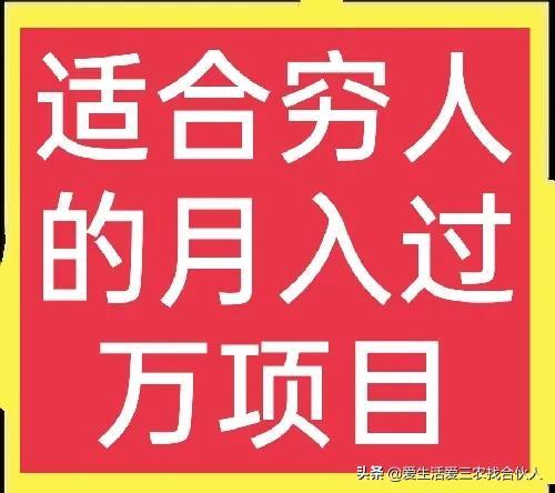 适合农村人做的赚钱项目（在农村做什么项目好）-万图副业网