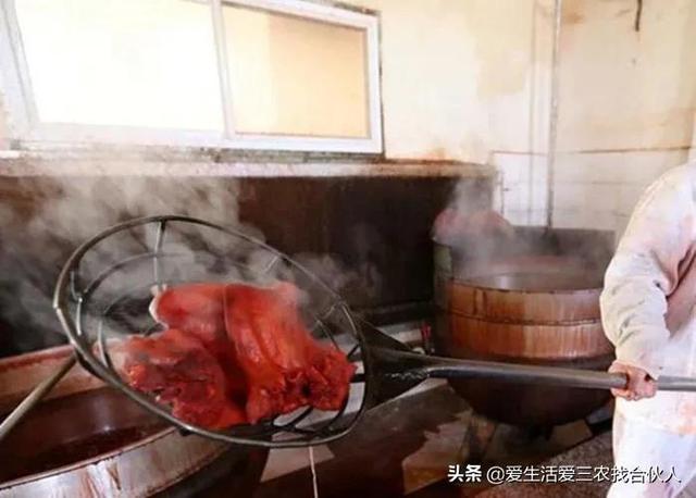 图片[5]-适合农村人做的赚钱项目（在农村做什么项目好）-万图副业网