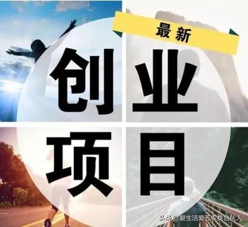 图片[11]-适合农村人做的赚钱项目（在农村做什么项目好）-万图副业网