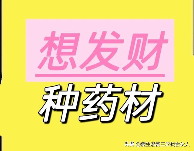 农村种植什么利润高（种什么药材最赚钱农村2022年）-万图副业网