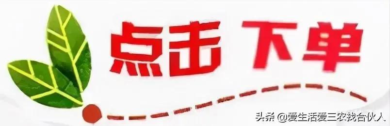 图片[6]-农村种植什么利润高（种什么药材最赚钱农村2022年）-万图副业网