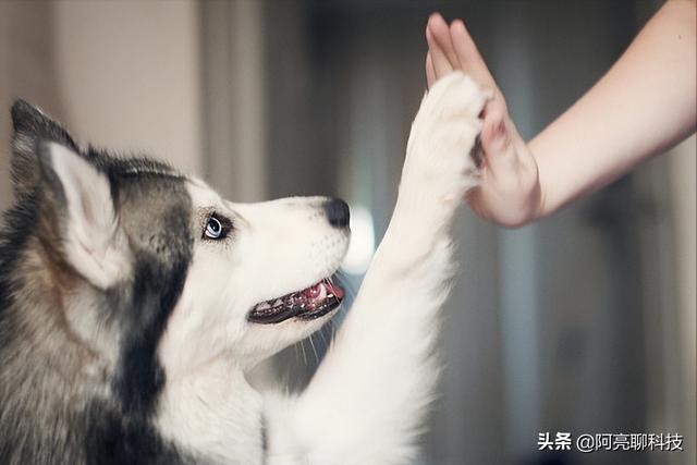 图片[3]-2022年千万不能做的生意，2022适合普通人做的生意有哪些-万图副业网