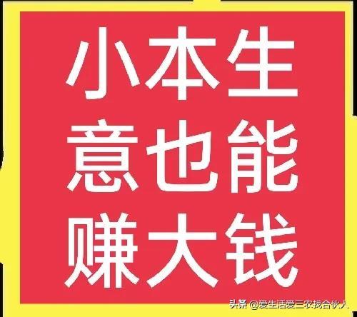 2022年投资小利润高的小生意，失业后做什么小本生意好-万图副业网