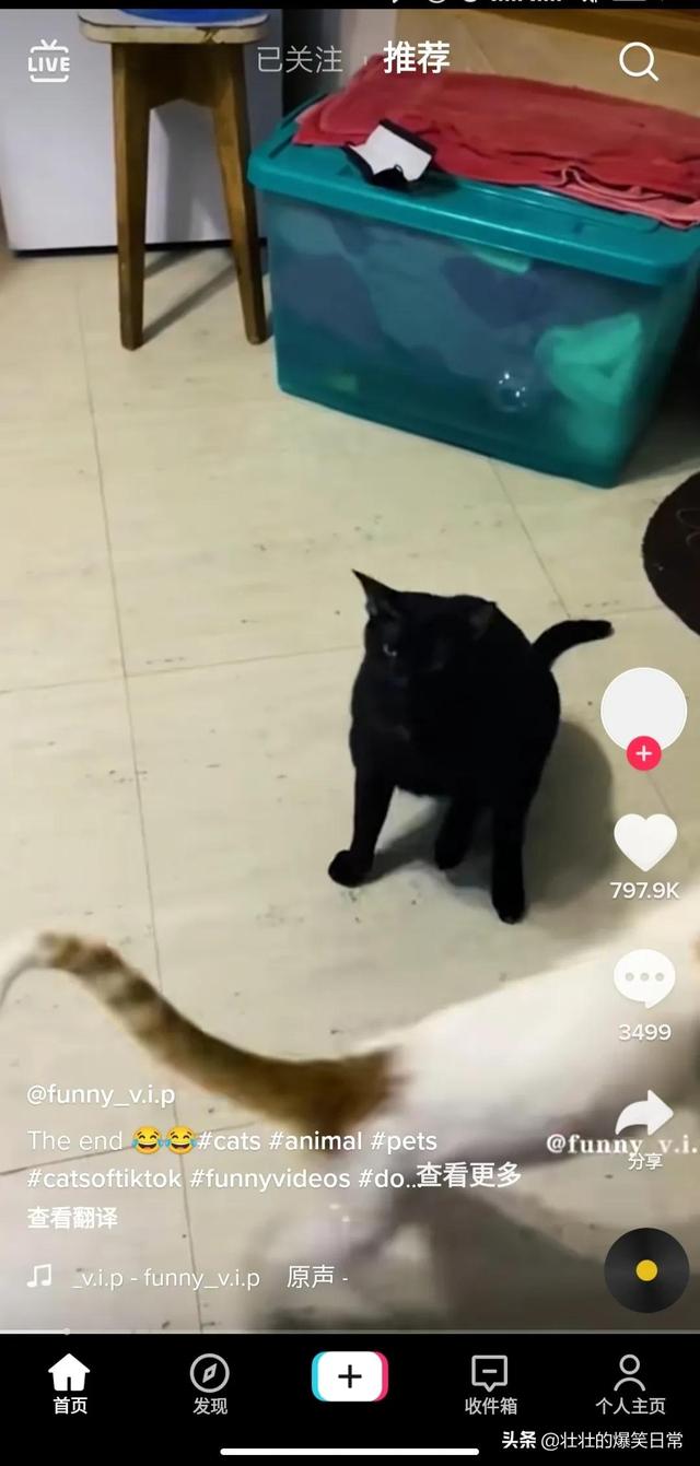 如何使用海外版抖音（国内怎样使用tiktok）-万图副业网