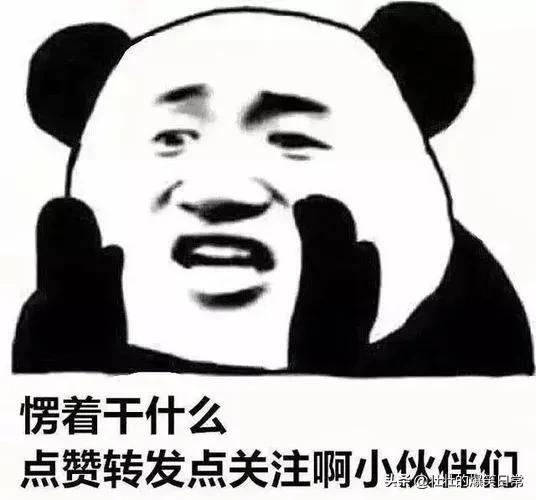 图片[6]-如何使用海外版抖音（国内怎样使用tiktok）-万图副业网