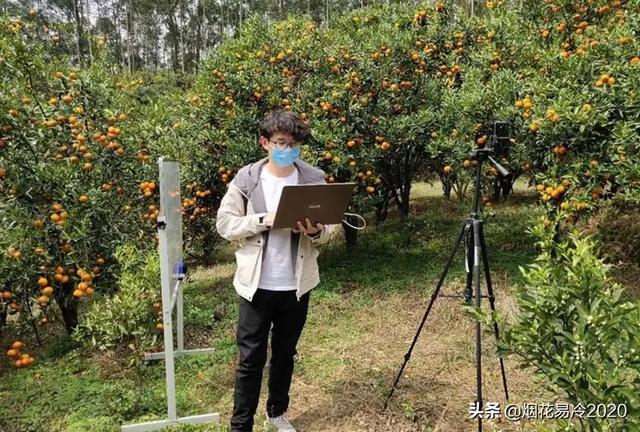 比较赚钱的生态农业项目有哪些-万图副业网