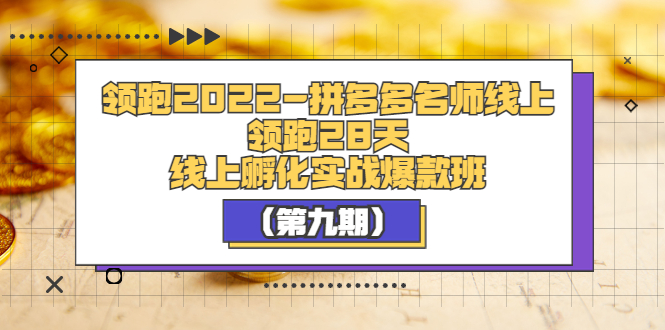 【副业项目3821期】拼多多名师线上领跑28天，拼多多线上孵化实操爆款班（第九期）-万图副业网