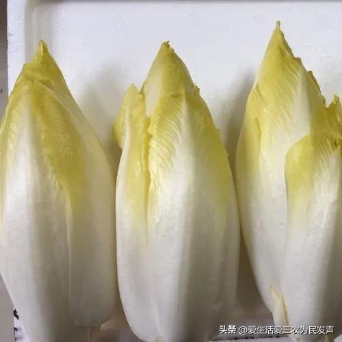 图片[8]-穷人怎么赚钱最快（适合农村穷人创业的项目）-万图副业网