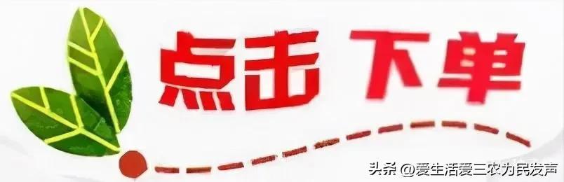 图片[9]-穷人怎么赚钱最快（适合农村穷人创业的项目）-万图副业网