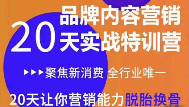 【副业项目3899期】《内容营销实操特训营》20天让你营销能力脱胎换骨（价值3999）-万图副业网