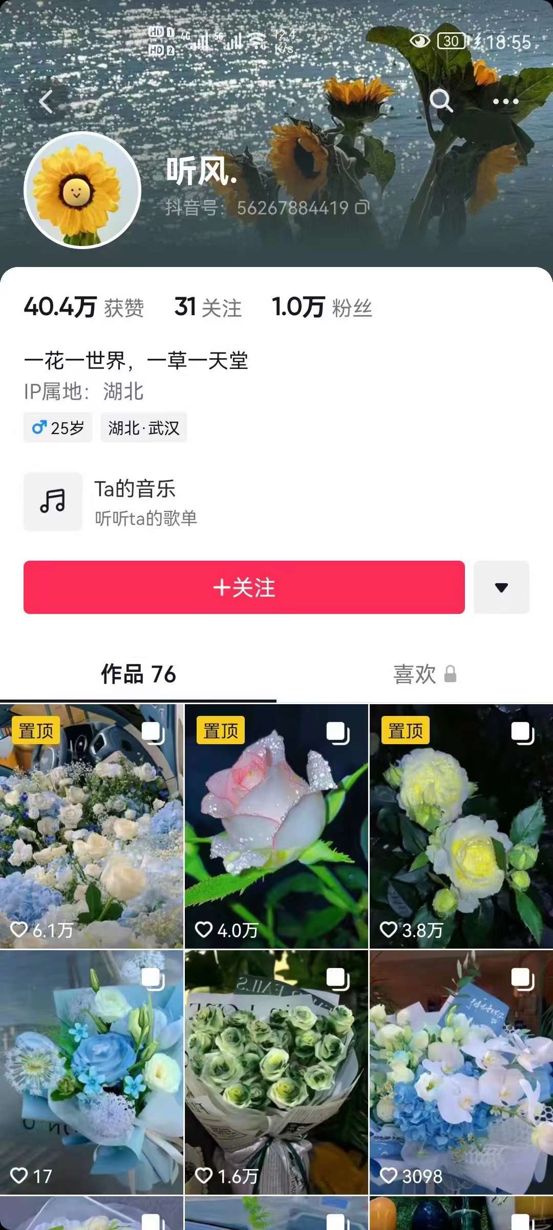 图片[3]-【副业项目3920期】抖音壁纸变现项目：实战日入380+发布壁纸素材获取收益！-万图副业网