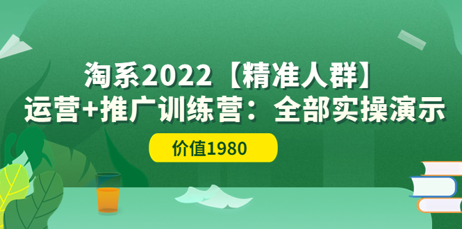 【副业项目3941期】淘系2022【精准人群】运营+推广训练营：全部实操演示-万图副业网