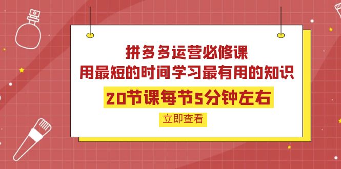 【副业项目4189期】拼多多运营必修课：20节课每节5分钟左右，用最短的时间学习最有用的知识-万图副业网