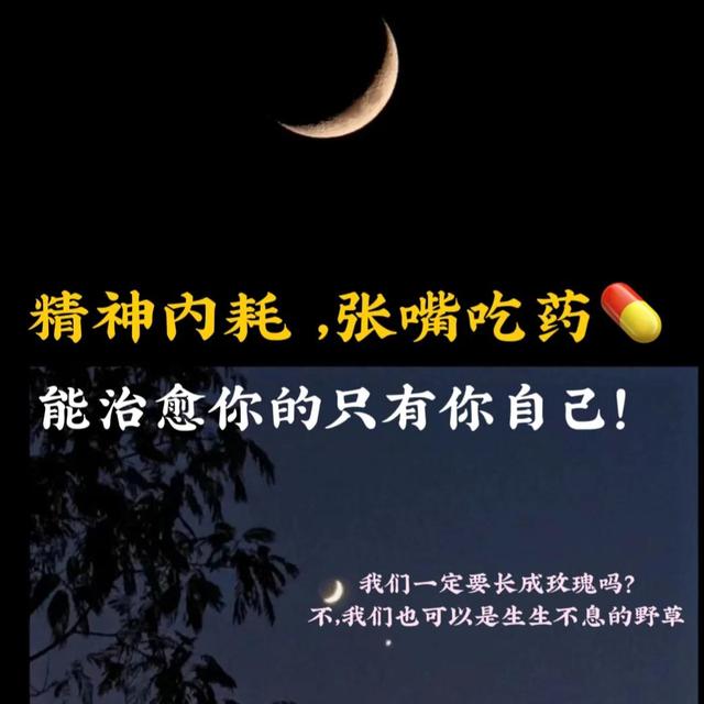 图片[3]-想做自媒体怎么入门，给自媒体新人总结的六点建议-万图副业网