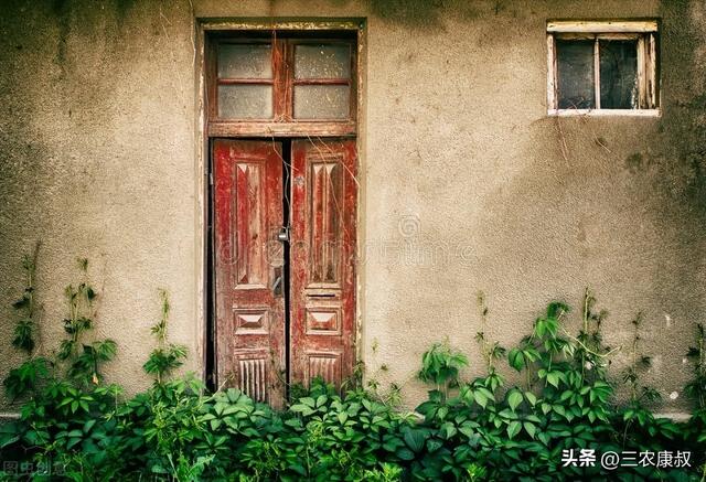 图片[5]-2022年适合在农村做的5种小买卖，一天挣500元并不难-万图副业网