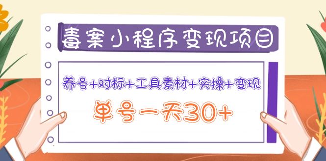 【副业项目4214期】图文案小程序变现项目：养号+对标+工具素材+实操+变现，单号一天30+-万图副业网