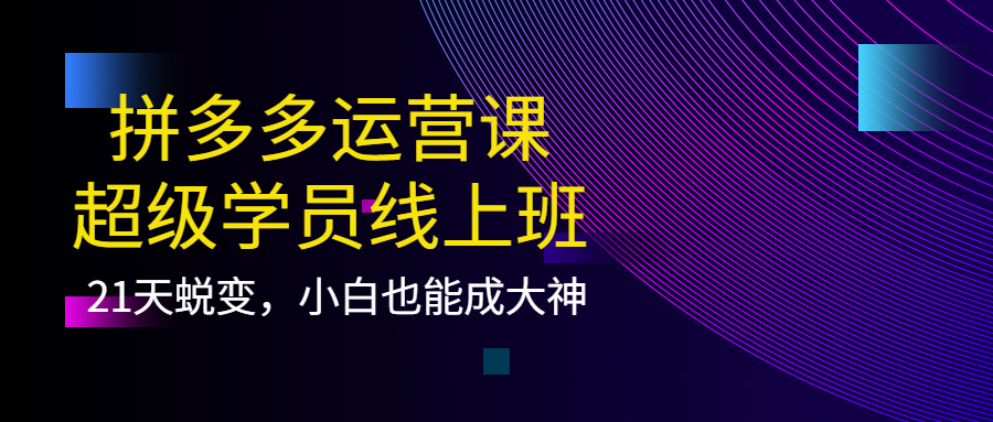 【副业项目4260期】拼多多运营课：超级学员线上班，21天蜕变，小白也能成大神-万图副业网