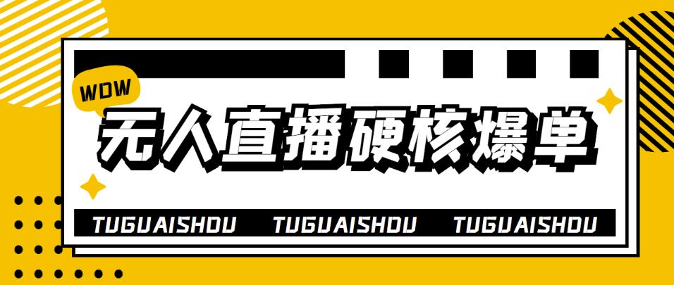 【副业项目4299期】大飞无人直播硬核爆单技术，轻松玩转无人直播，暴利躺赚-万图副业网