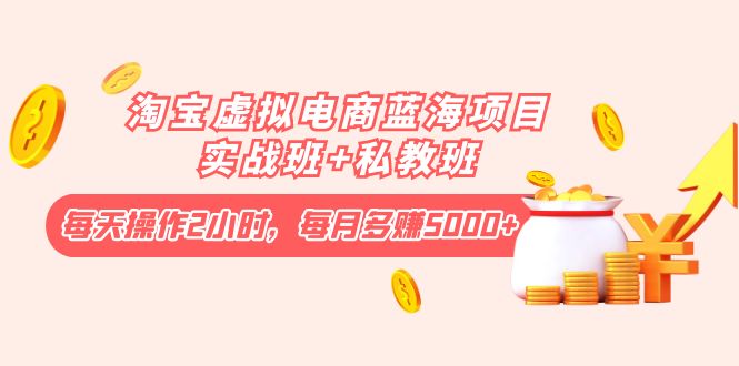 【副业项目4366期】淘宝虚拟电商蓝海项目实战班+私教班：每天操作2小时，每月多赚5000+-万图副业网