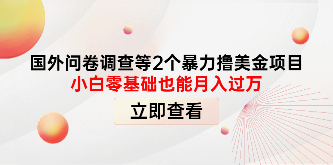 【副业项目4372期】国外问卷调查等2个暴力撸美金项目，小白零基础也能月入过万-万图副业网