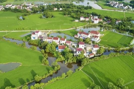 这6类项目在农村正成香馍馍？返乡创业摸准门路，年入百万不是梦农村商机好项目有哪些-万图副业网
