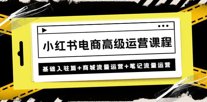 【副业项目4879期】小红书电商高级运营课程：基础入驻篇+商城流量运营+笔记流量运营-万图副业网