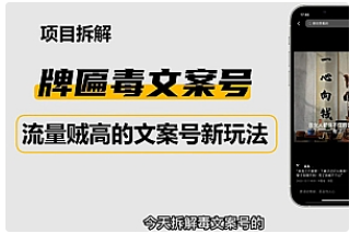 【副业项目4912期】2023抖音快手毒文案新玩法，牌匾文案号，起号快易变现-万图副业网