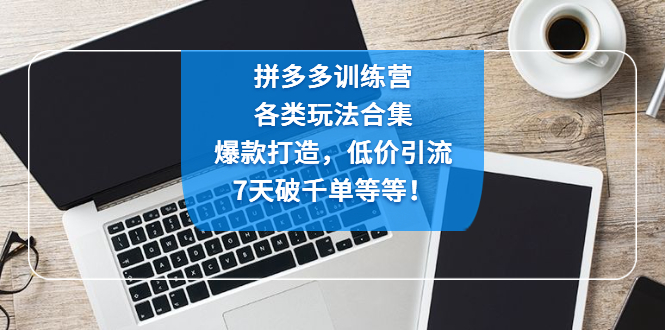 【副业项目4925期】拼多多训练营：各玩法合集，爆款打造，低价引流，7天破千单等等-万图副业网