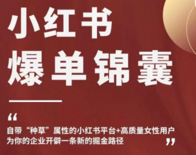【副业项目4942期】小红书爆单锦囊，自带种草属性+高质量女性用户，为你的企业开辟一条新的掘金路径-万图副业网