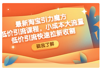 【副业项目4943期】最新淘宝引力魔方低价引流实操：小成本大流量，低价引流快速拉新收割-万图副业网