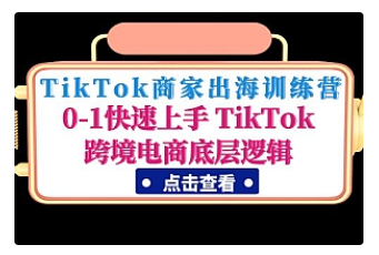 【副业项目5013期】TikTok商家出海训练营：0-1快速上手 TikTok跨境电商底层逻辑-万图副业网