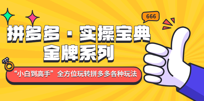 【副业项目5130期】拼多多·实操宝典：金牌系列“小白到高手”带你全方位玩转拼多多各种玩法-万图副业网