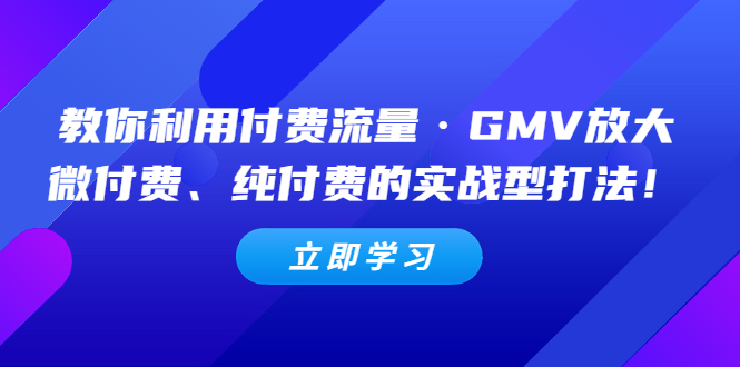 【副业项目5265期】教你利用付费流量·GMV放大，微付费、纯付费的实战型打法-万图副业网