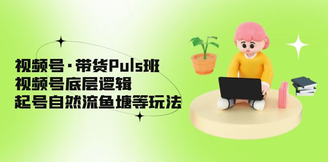 【副业项目5206期】视频号·带货Puls班，视频号底层逻辑，起号自然流鱼塘等玩法-万图副业网