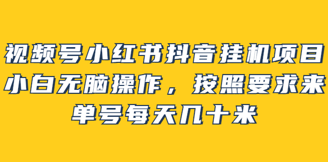 【副业项目2904期】视频号小红书抖音挂机项目，小白无脑操作，按照要求来，单号每天几十米-万图副业网