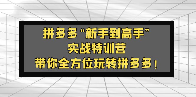 【副业项目5317期】拼多多“新手到高手”实战特训营：带你全方位玩转拼多多-万图副业网