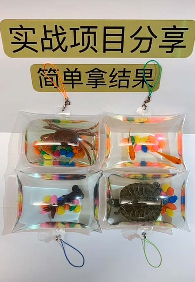 图片[3]-【副业项目5502期】最近抖音很火的泡泡鱼手工小成本地摊创业项目，日賺500+项目课程解析-万图副业网