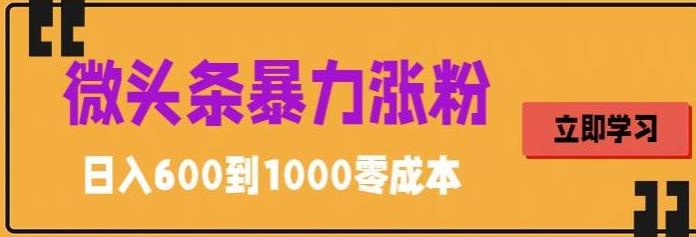 【副业项目5970期】微头条暴力涨粉技巧搬运文案就能涨几万粉丝，简单0成本，日赚600-万图副业网