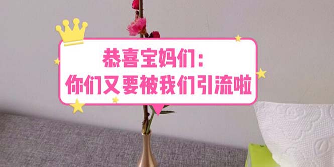 【副业项目5918期】恭喜宝妈们：你们又要被我们引流了（教程+222g资料）-万图副业网