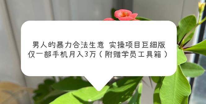 【副业项目5982期】男人的暴力合法生意实操项目巨细版：仅一部手机月入3w（附赠学员工具箱）-万图副业网
