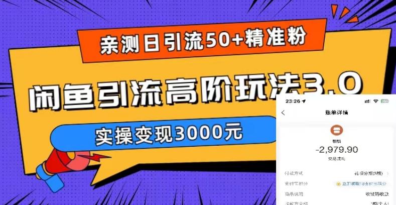 【副业项目5795期】实测日引50+精准粉，闲鱼引流高阶玩法3.0，实操变现3000元-万图副业网