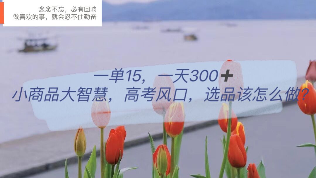 【副业项目6119期】一单15，一天300+，小商品大智慧，高考风口，选品该怎么布局-万图副业网
